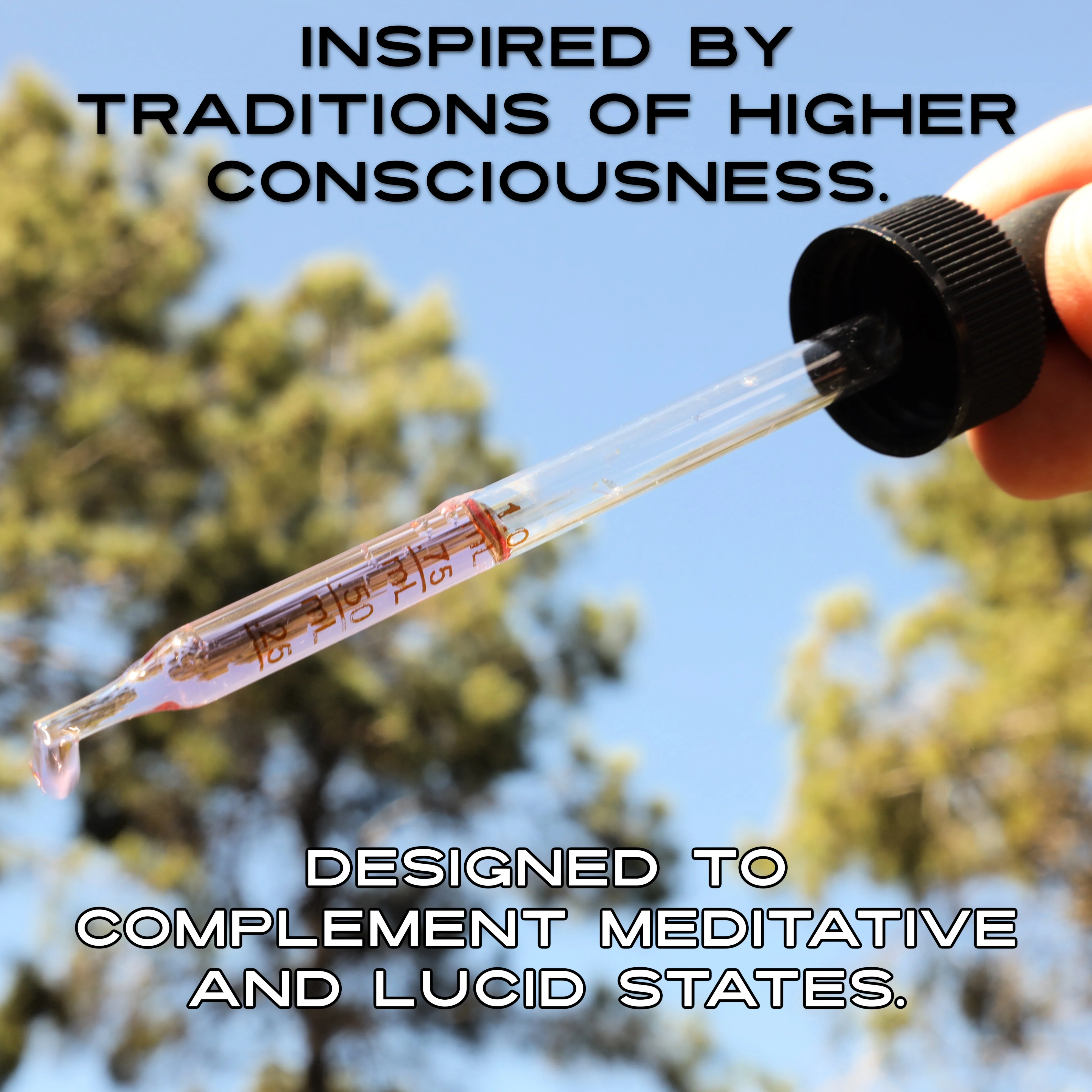 24k Gold Water - Image 4