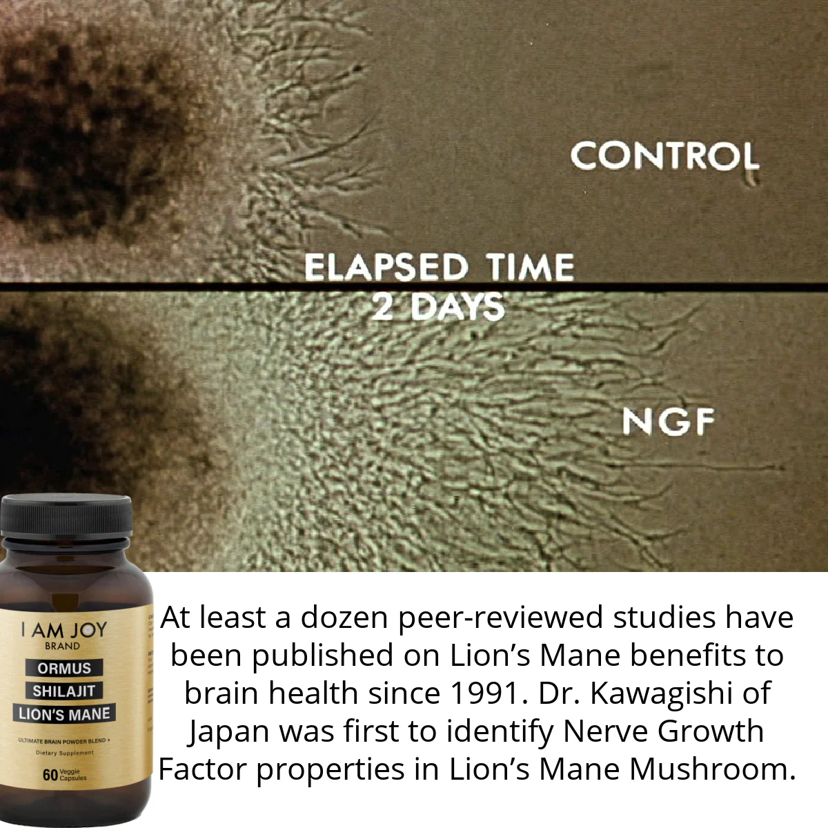 Joy Capsules - Ormus, Shilajit, Lions Mane Mushroom - Image 3