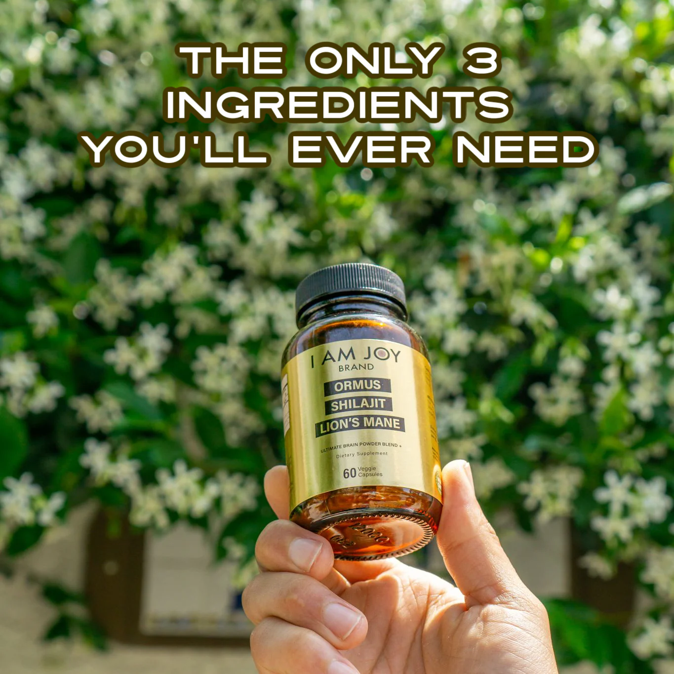 Joy Capsules - Ormus, Shilajit, Lions Mane Mushroom - Image 7