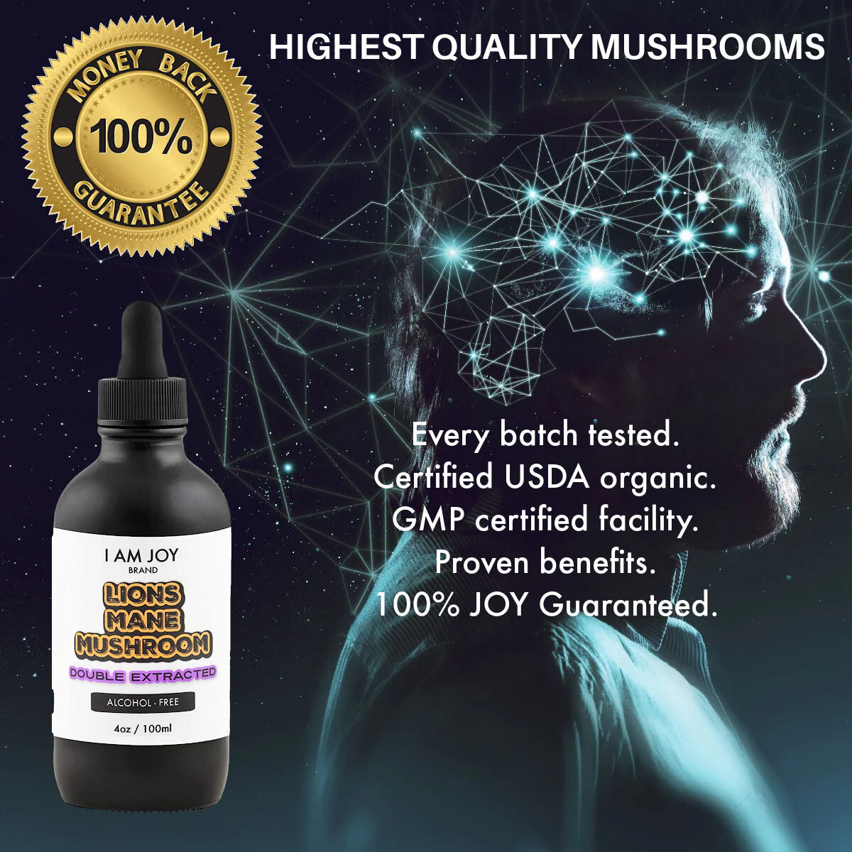 Lions Mane Extract - Image 3