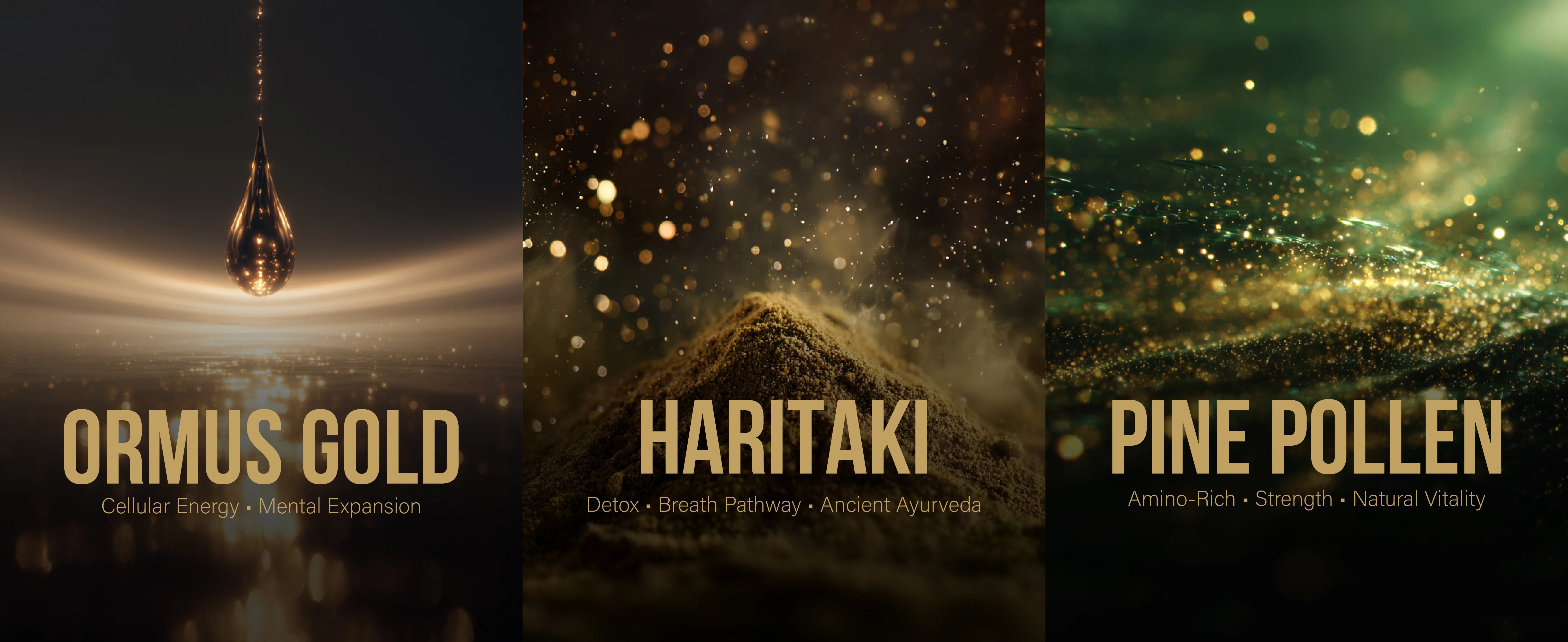 Third Eye Pine (Haritaki, Pine Pollen, Ormus Gold) - Image 10